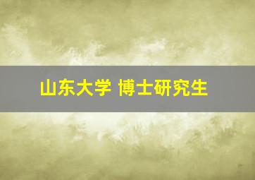 山东大学 博士研究生